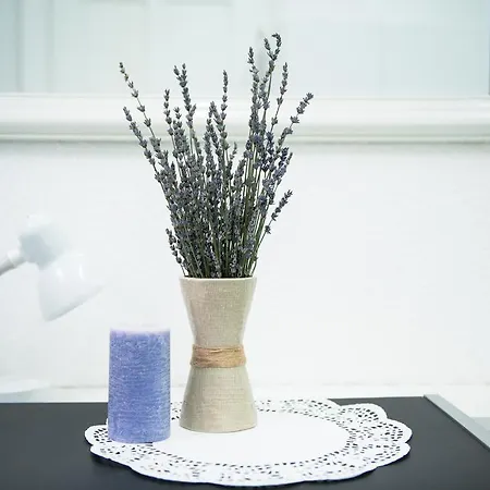 Apartment Trubar